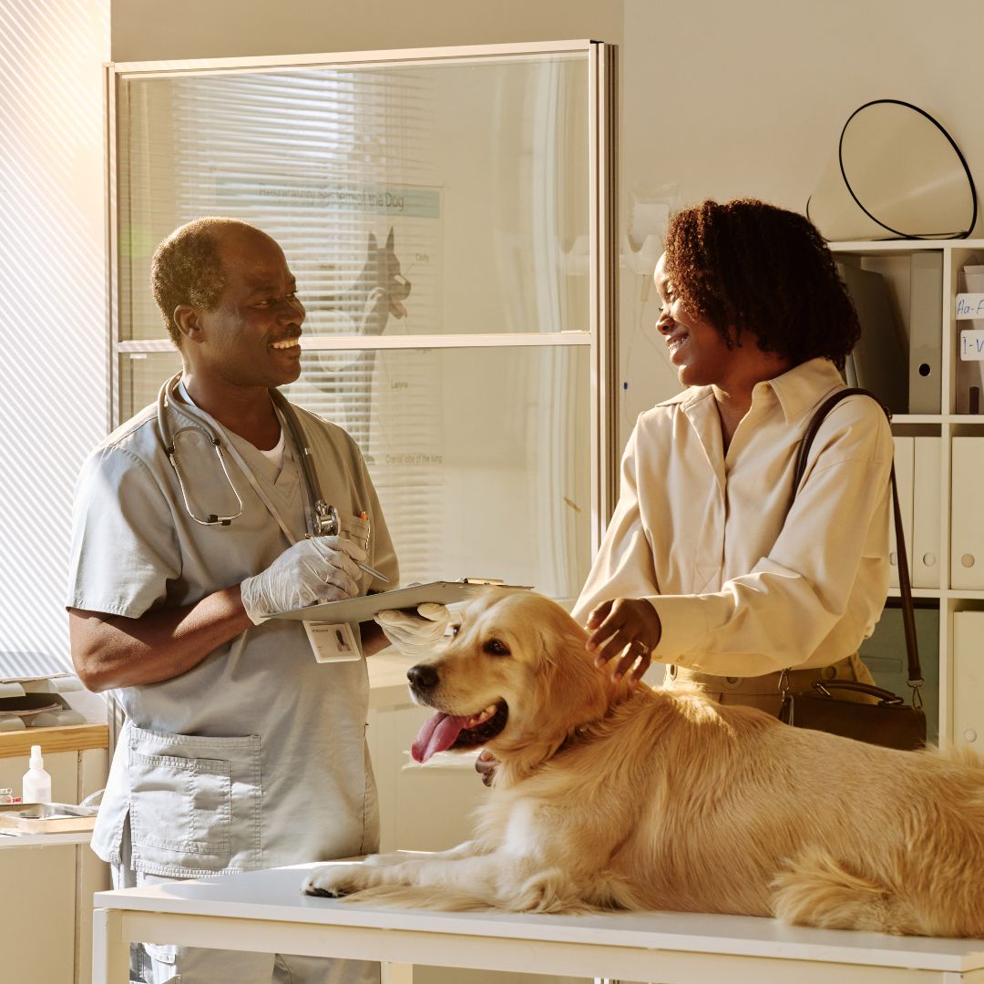 Two people are standing in front of a dog