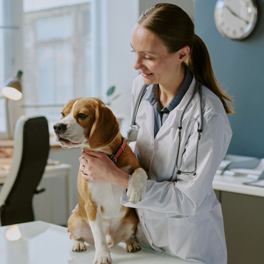 a person in a doctor's coat is holding a dog