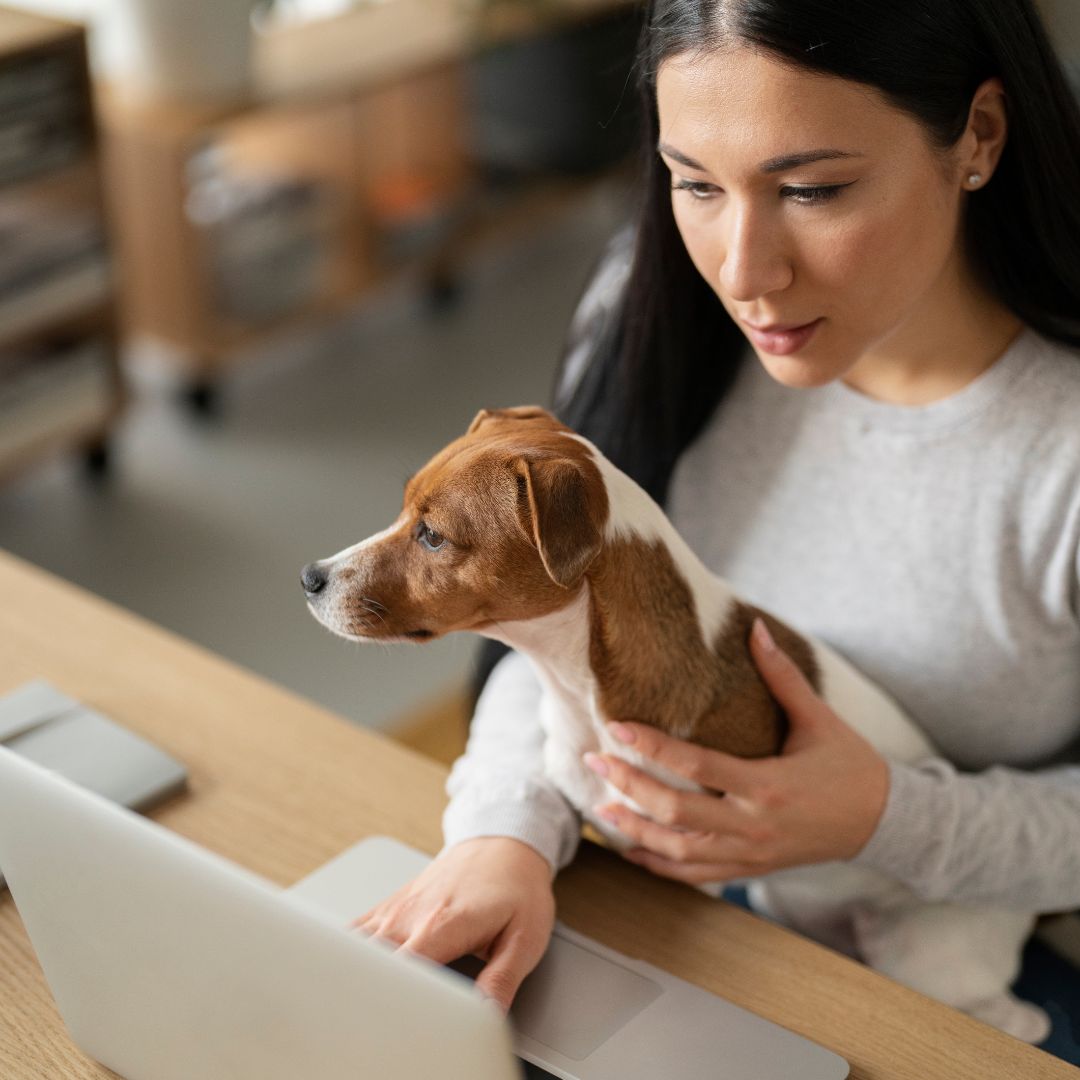 a person sitting at a desk with a dog on their lap