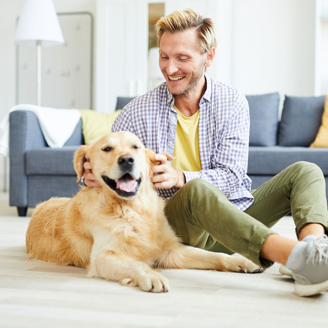 a person sitting on the floor with their dog