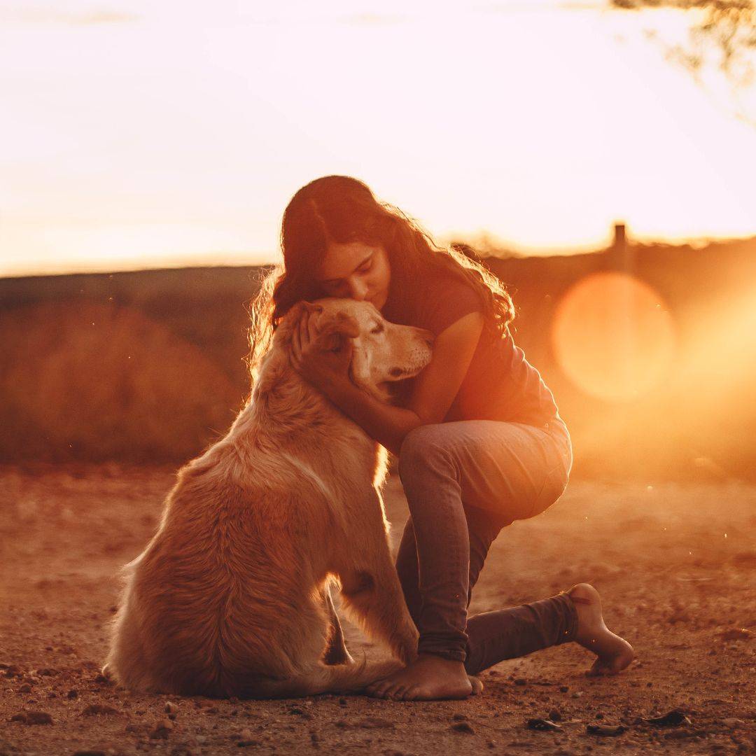 girl hugging dog warm sunset