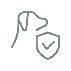 personalized care icon