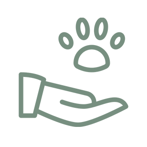 stress free care icon