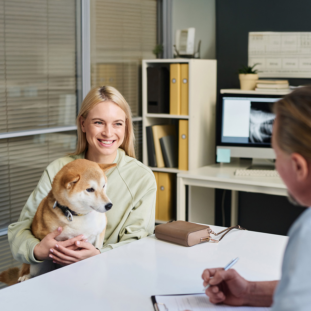 vet consultation