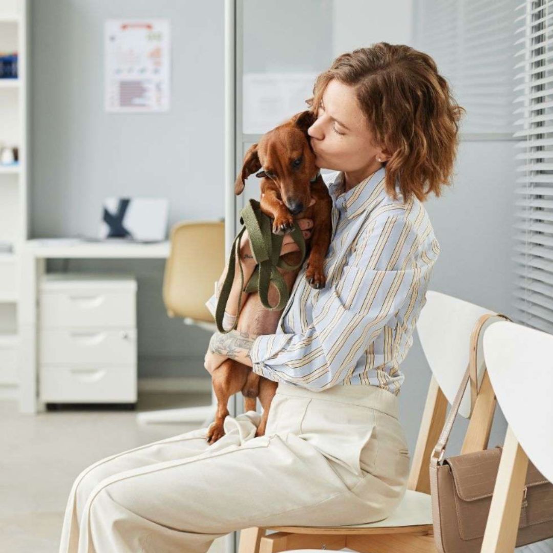 A person in a striped shirt and light pants holds a small brown dog